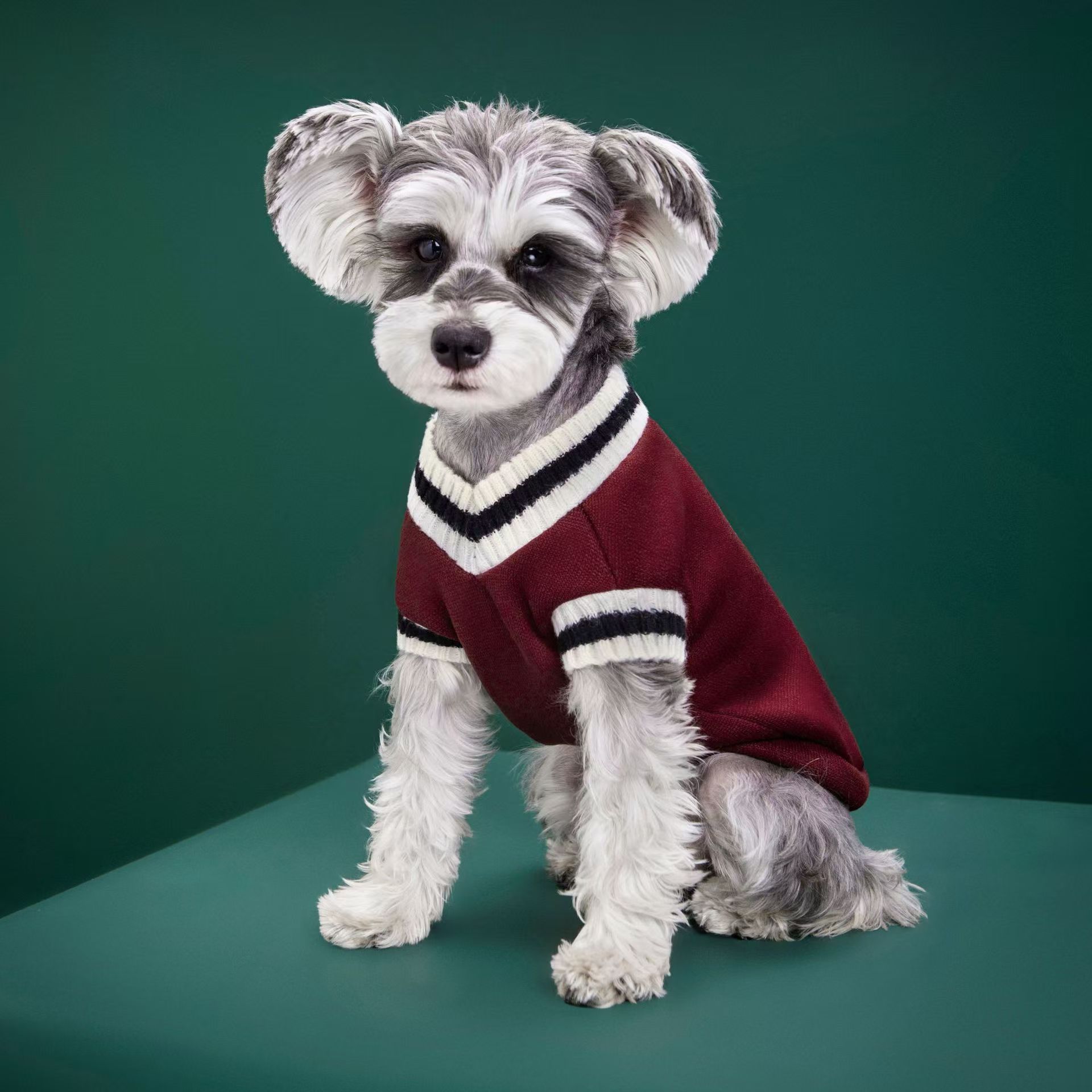 Winter Clothing Manufacturers - Dog Clothing Manufacturer Wholesale Knitted Sweaters