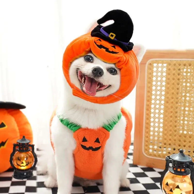 Winter Clothing Name - Face Autumn Clothes Winter And Dog