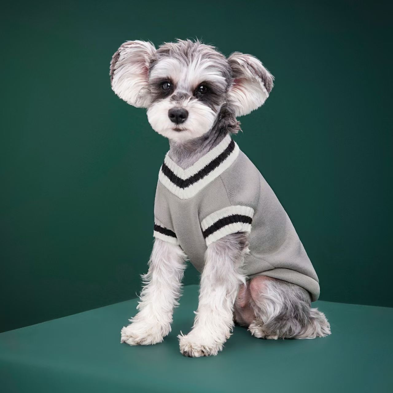 Dog Clothing Manufacturer Whol - Winter Clothing Manufacturers 评论和价格